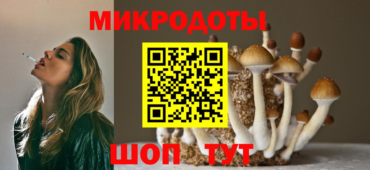 Видное  Псилоцибиновые грибы GOLDEN TEACHER  Вход с VPN 